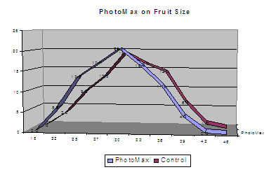 /images/0000/0037/Fruit_Size_Kiwifruit_06.jpg