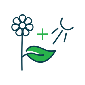 PhotoMax - increase photosynthesis